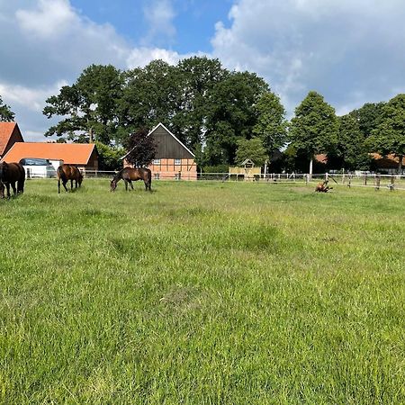 Landhaus Am Esch Warendorf Eksteriør bilde