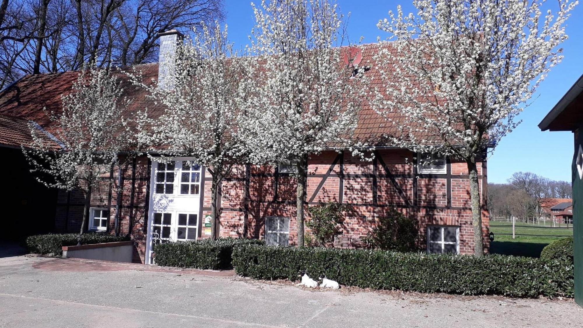 Landhaus Am Esch Warendorf Eksteriør bilde