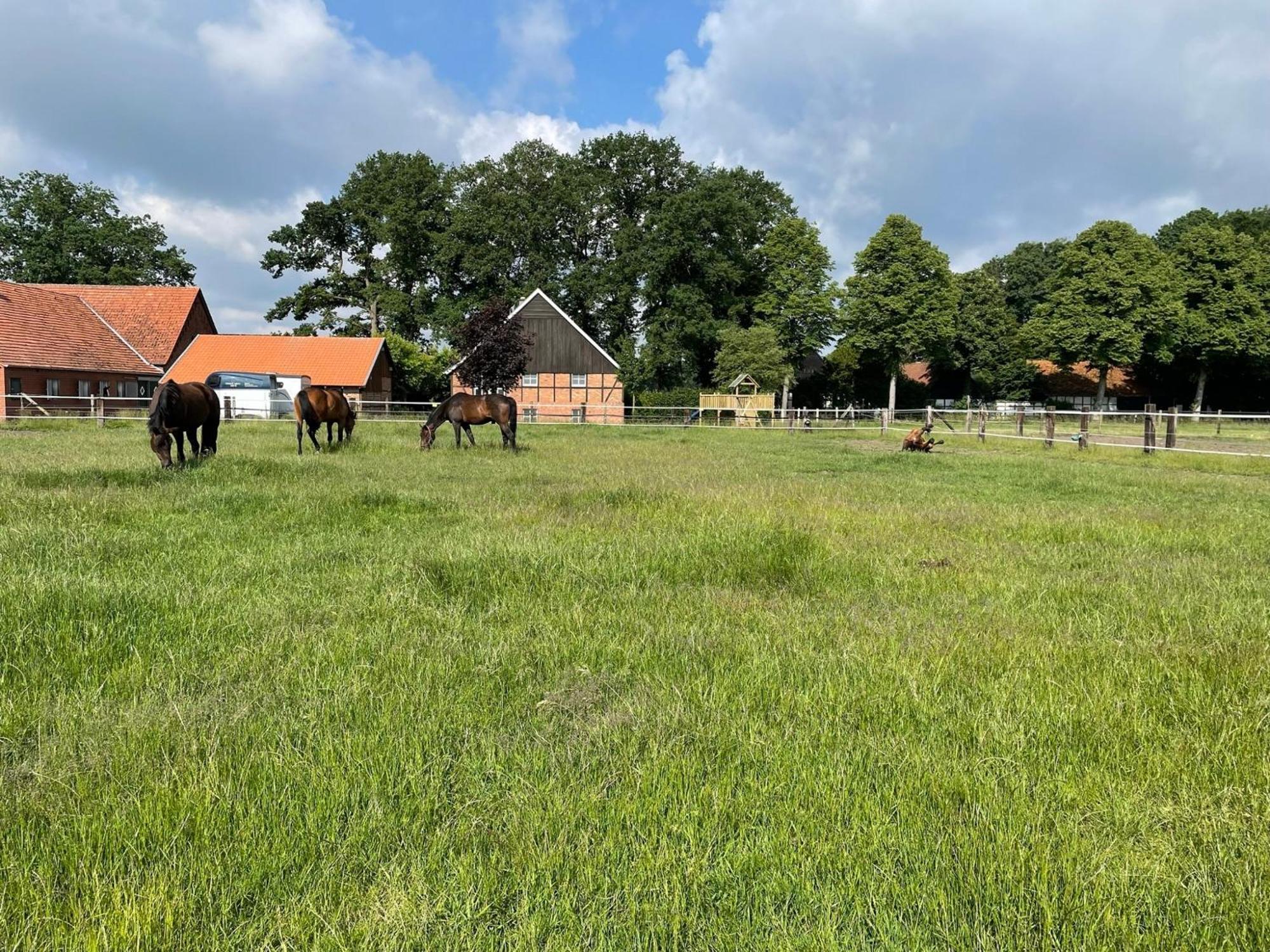 Landhaus Am Esch Warendorf Eksteriør bilde